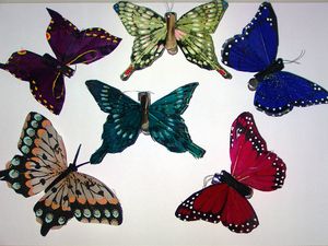 comparison_butterfly_vz57plus_colorprecision