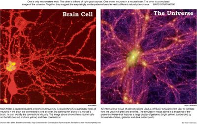 Brain_cell_universe
